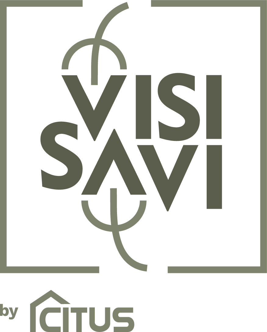 VISI SAVI